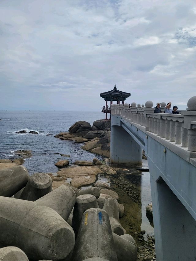 바다위 바다위 두개의 정자가 있는 영금정🩵
