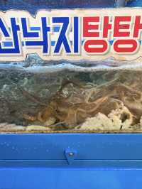 【ソウル】韓国ならではの鮮度✨キラキラレバ刺し✨