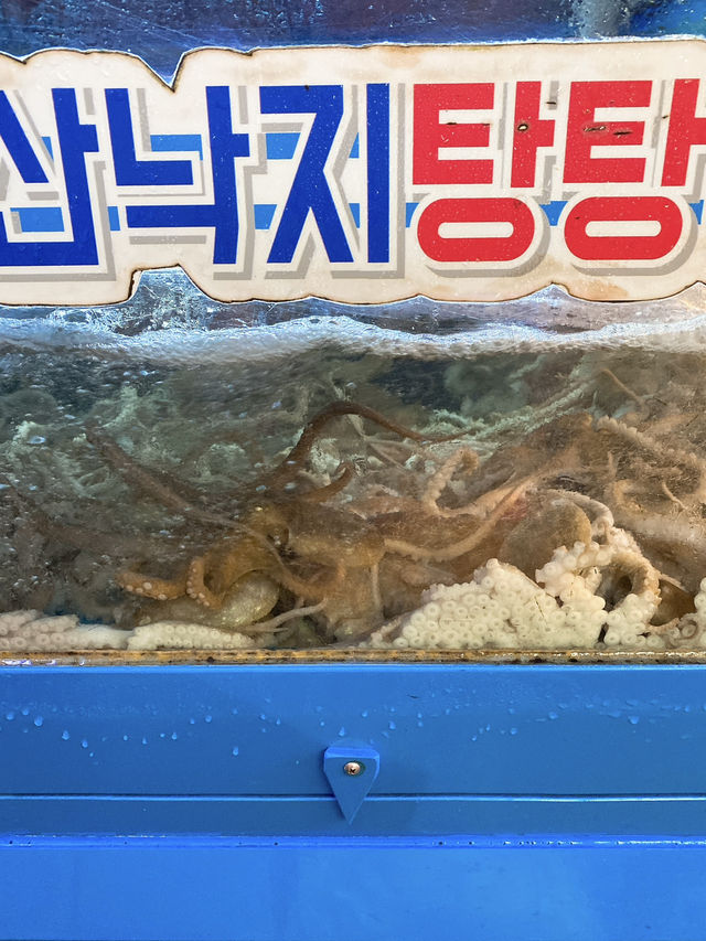【ソウル】韓国ならではの鮮度✨キラキラレバ刺し✨