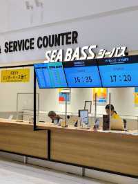コスパ最強！ヨコハマの主要観光地を結ぶ船の旅🚢✨
