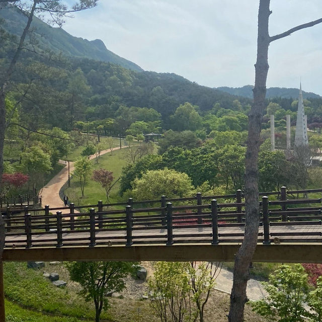 전북 정읍 내장산 국립공원 숲길🍀