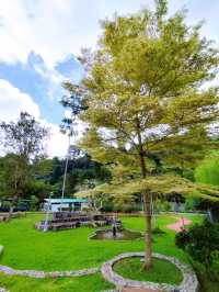 Enjoying Penang Botanic Gardens 