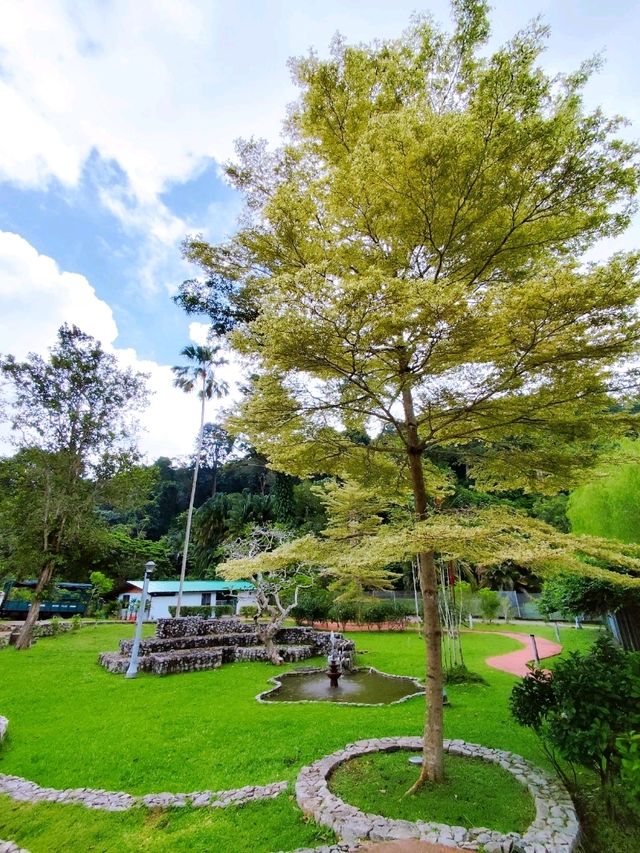 Enjoying Penang Botanic Gardens 