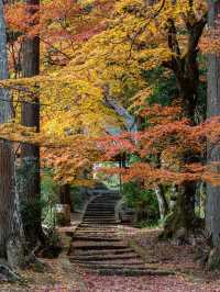 【京都府】龍穏寺