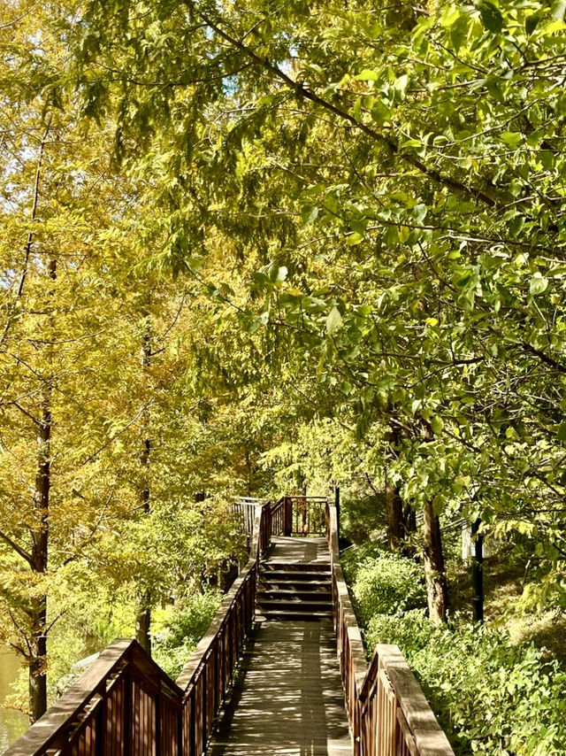 완연한 가을의 자연을 느껴볼 수 있는 🌳부산 야외데이트 명소💚