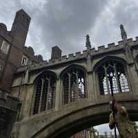 Discover The Charms of Cambridge: A Half-Day Tour Through History and Academia