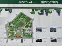 【日本遺産・牛久シャトー】牛久大仏だけじゃない、日本産ワイン誕生の歴史