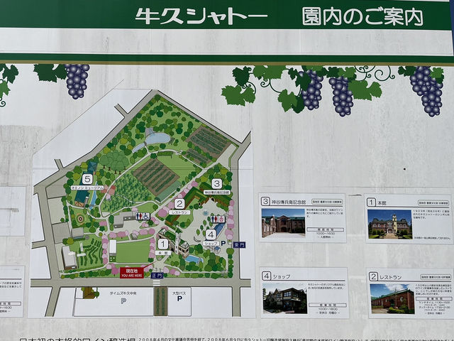 【日本遺産・牛久シャトー】牛久大仏だけじゃない、日本産ワイン誕生の歴史