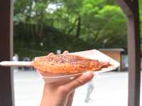 【軽井沢🇯🇵】白糸の滝