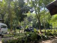 หลาดใต้โหนด ตลาดชิวเมืองพัทลุง