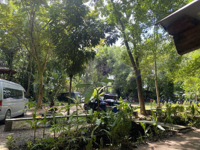 หลาดใต้โหนด ตลาดชิวเมืองพัทลุง