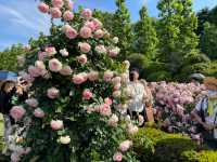 Shinjuku Gyoen National Garden: A Serene Oasis Amidst the Urban Jungle