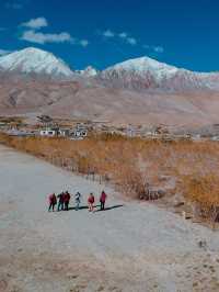 Travelling to Ladakh? Then you must come in autumn season