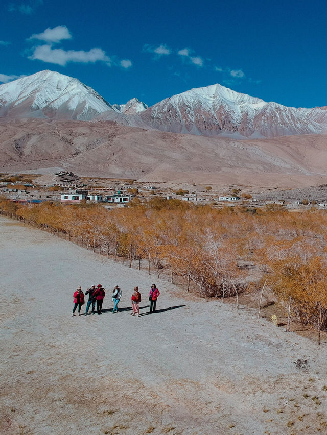 Travelling to Ladakh? Then you must come in autumn season