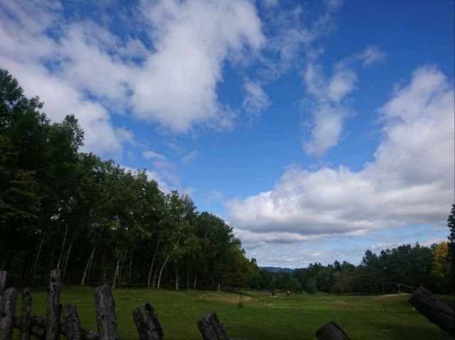 【新富良野プリンスホテル:北海道富良野市】広大な敷地にある綺麗なホテル✨