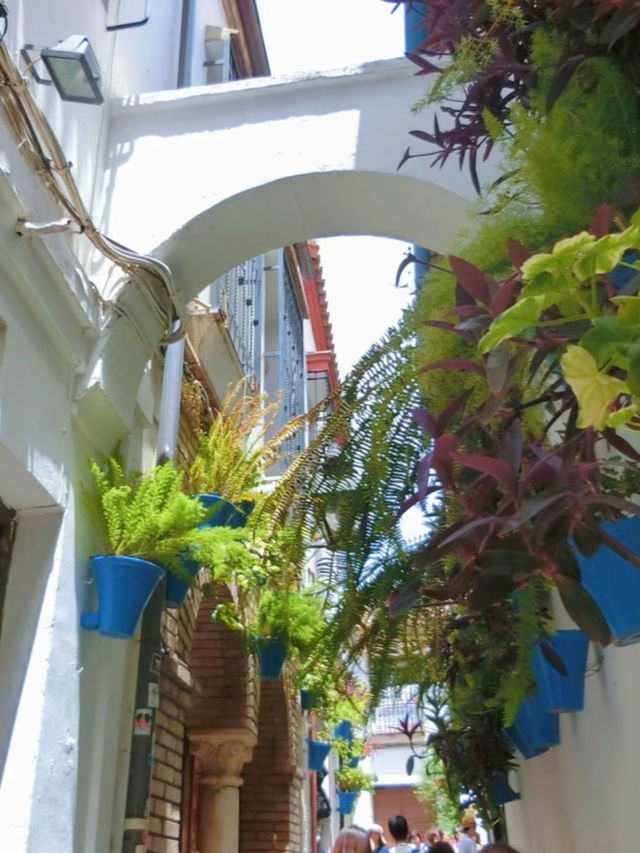 【スペイン】まるで童話の世界🫣🏰美しすぎる花の小道💐🌿💖【コルドバ】