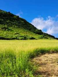 【平久保崎灯台:石垣島】石垣島最北端の白い灯台♪