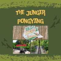 กิจกรรมสุดอลังการ เดอะจังเกิ้ล โป่งแยง (The Jungle