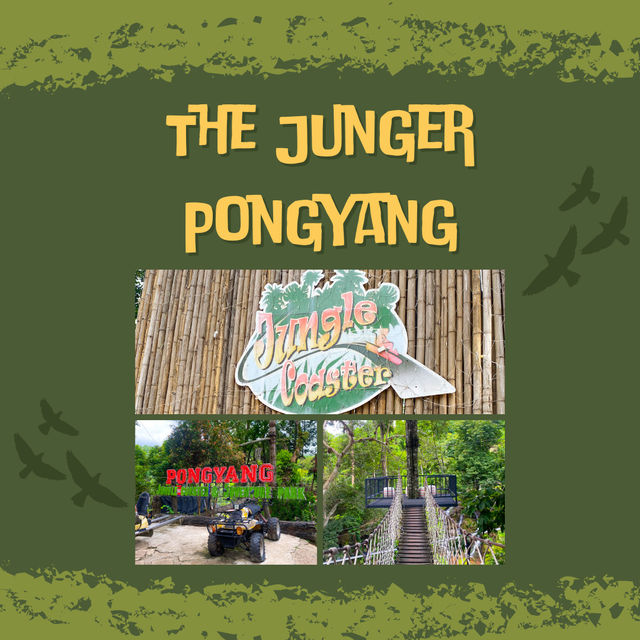 กิจกรรมสุดอลังการ เดอะจังเกิ้ล โป่งแยง (The Jungle