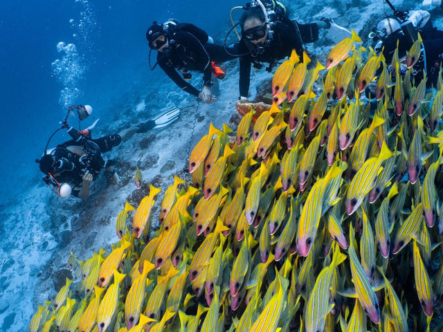 1 ใน Bucket list 