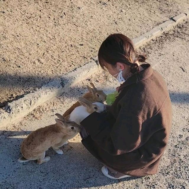 【広島】大久野島