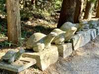 【栃木県】亀だらけの神社