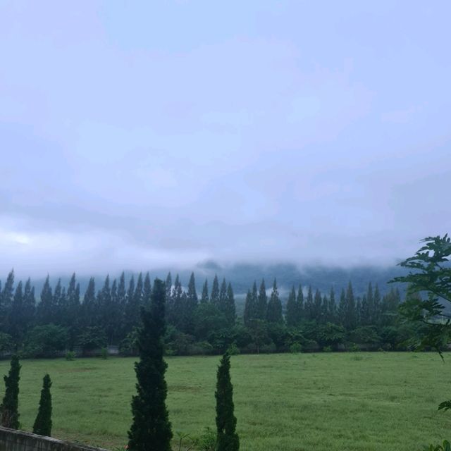 DusitD2 Khao Yai