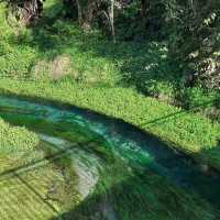 New Zealand Blue Spring
