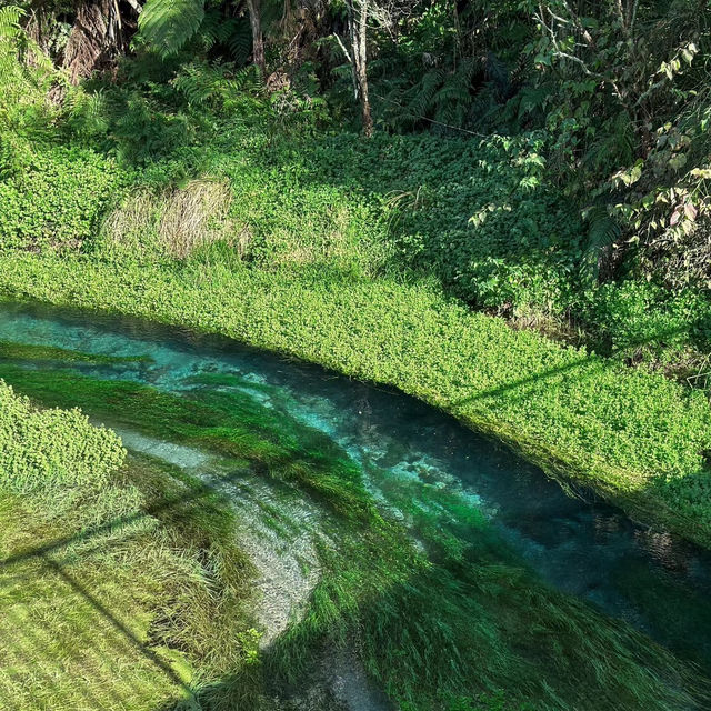 New Zealand Blue Spring