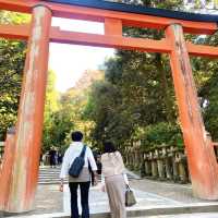 奈良°ㅣ原始森林中的千年神社ㅣ被鹿包圍的春日大社