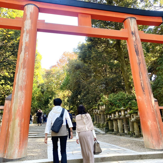 奈良°ㅣ原始森林中的千年神社ㅣ被鹿包圍的春日大社