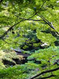 東京都庭園美術館：藝術與歷史交織的綠洲🏛️🌿