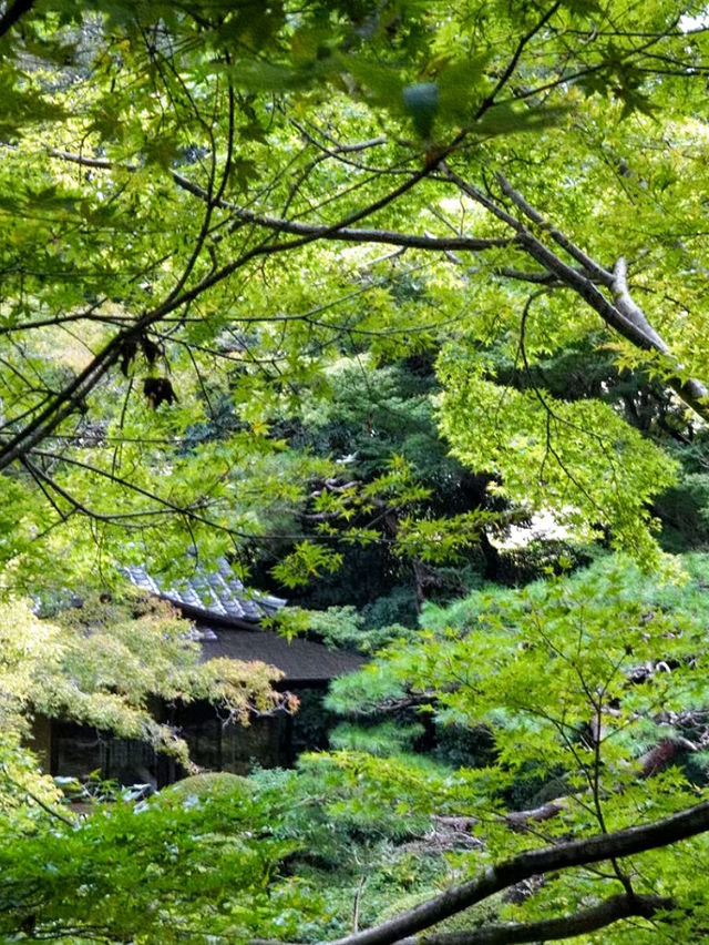 東京都庭園美術館：藝術與歷史交織的綠洲🏛️🌿