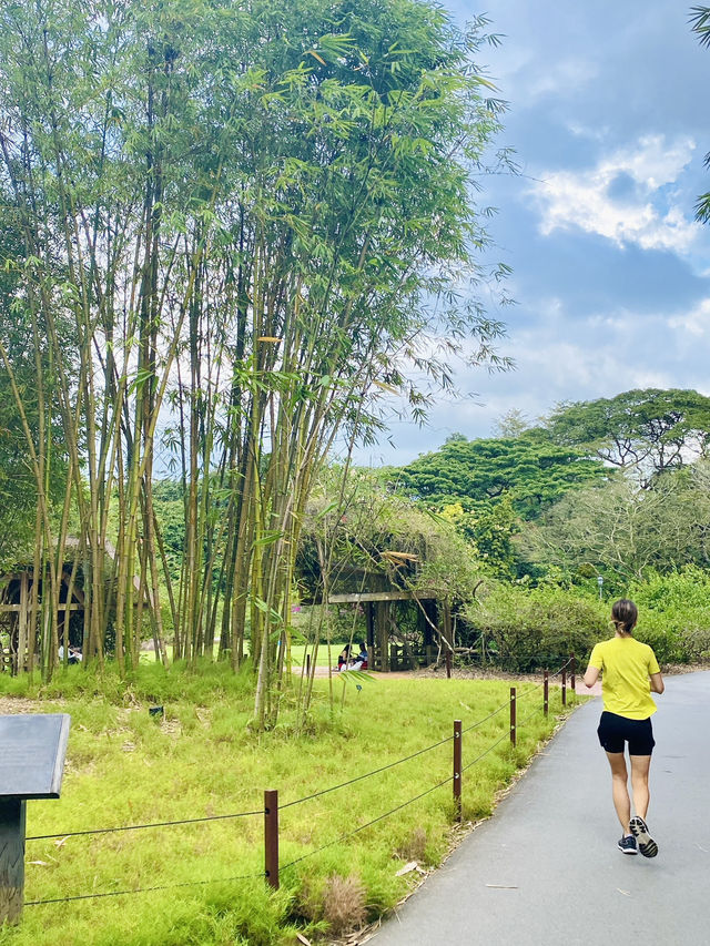 🇸🇬 Exploring the Singapore Botanic Gardens: A Green Oasis in the Garden City