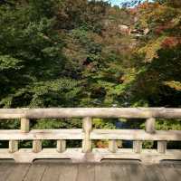 【石川】加賀の自然美を満喫する「こおろぎ橋」