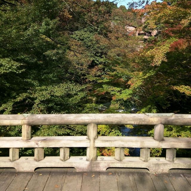 【石川】加賀の自然美を満喫する「こおろぎ橋」