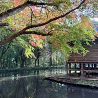 秋の世界遺産 中尊寺
