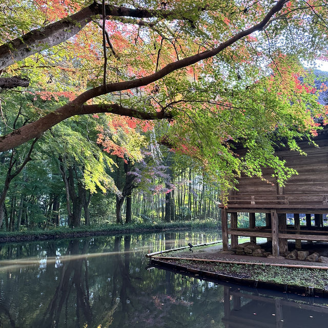 秋の世界遺産 中尊寺