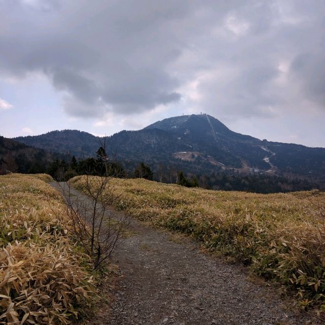 【長野】志賀高原・前山山頂の大自然が広がる絶景