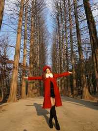 Nami Island 