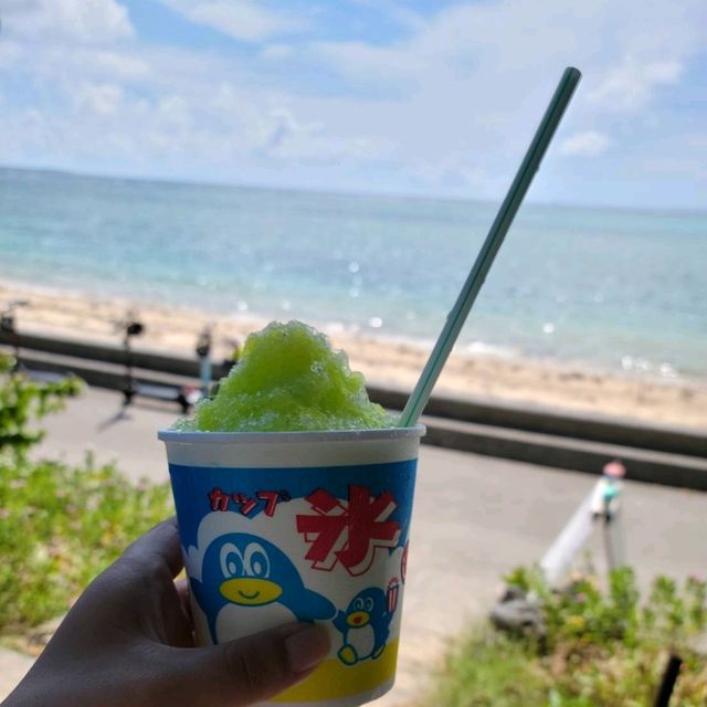 【沖縄】備瀬