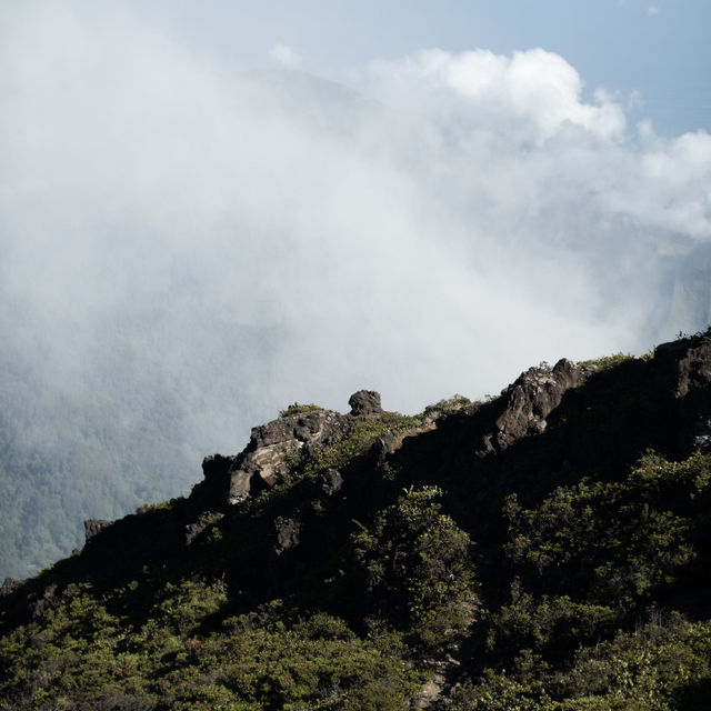 Friend of Mount Arjuno