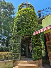 重溫宮崎駿的動畫世界：三鷹之森吉卜力美術館遊記🌲