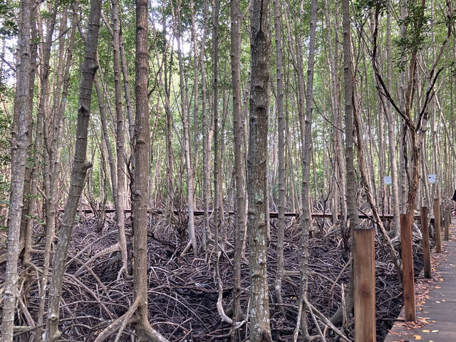 ทุ่งโปรงทอง
