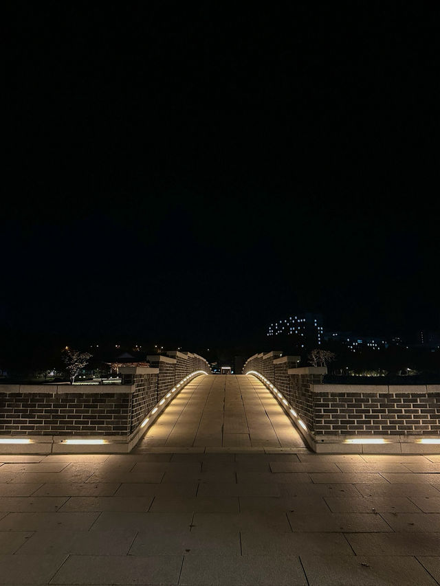 야경이 아름다운 전주 덕진공원