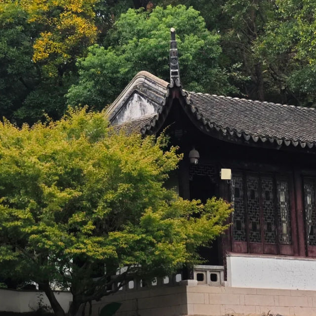 ～燈都生態濕地公園～美麗濕地自然～