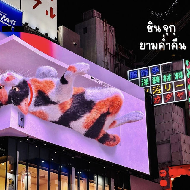 เดินเที่ยวชินจูกุ ดูไฟและแสงสีในยามค่ำคืน 