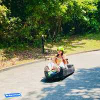 Thrill Seeker's Paradise: Skyline Luge Singapore