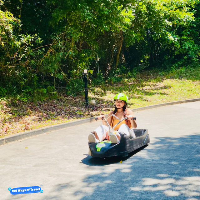 Thrill Seeker's Paradise: Skyline Luge Singapore