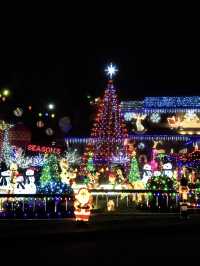 【バンクーバー🇨🇦】クリスマスを探しにお散歩へ🎅